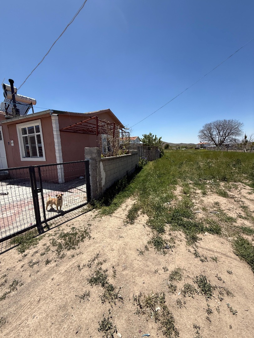 KAYSERİ DEVELİ GÜNEYAŞAĞI MAHALLESİ SUÇIKAN MEVKİİNDE SATILIK HOBİ BAHÇESİ